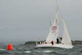 sea-pie of cultra gbr4254 whyw22 tues 800_2601yi